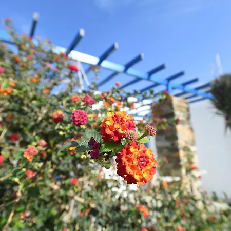 Lovely For 4 Ppl In Tinos Appartement *